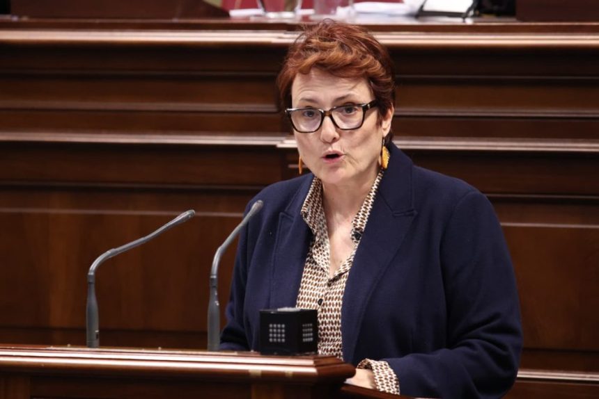 Candelaria Delgado presenta reformas para agilizar subvenciones del tercer sector en Canarias 1 Candelaria Delgado presenta reformas para agilizar subvenciones del tercer sector en Canarias