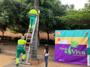 Las Palmas de Gran Canaria instalará 150 casas-nido para proteger a las aves urbanas - Imagen 1