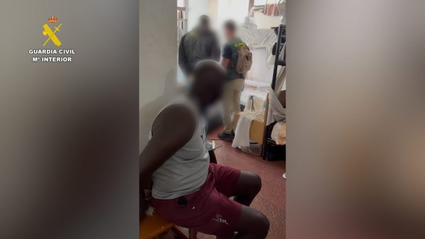 Detenidas 21 personas en Ibiza por tráfico de drogas y robo valorado en más de 360.000 euros 1 Detenidas 21 personas en Ibiza por tráfico de drogas y robo valorado en más de 360.000 euros