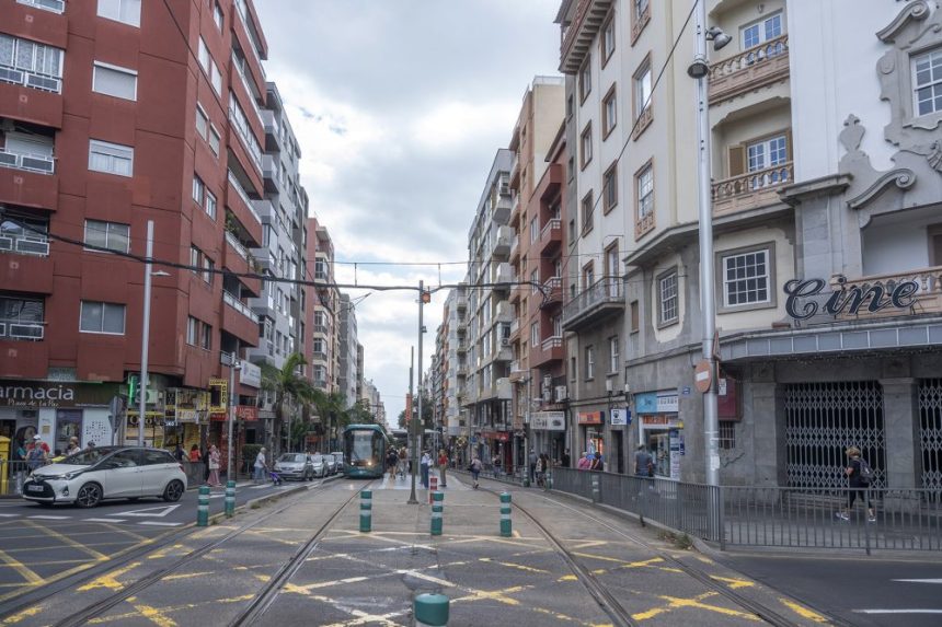 La Sociedad de Desarrollo de Santa Cruz selecciona diez artistas canarios para intervenciones en locales comerciales