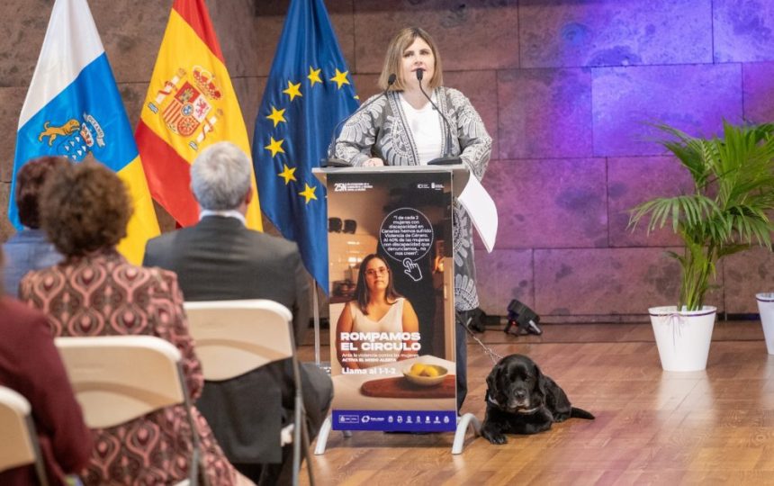 Violencia machista en Canarias: 112 mujeres asesinadas desde 2003 y aumento de llamadas en 2025 1 Violencia machista en Canarias: 112 mujeres asesinadas desde 2003 y aumento de llamadas en 2025