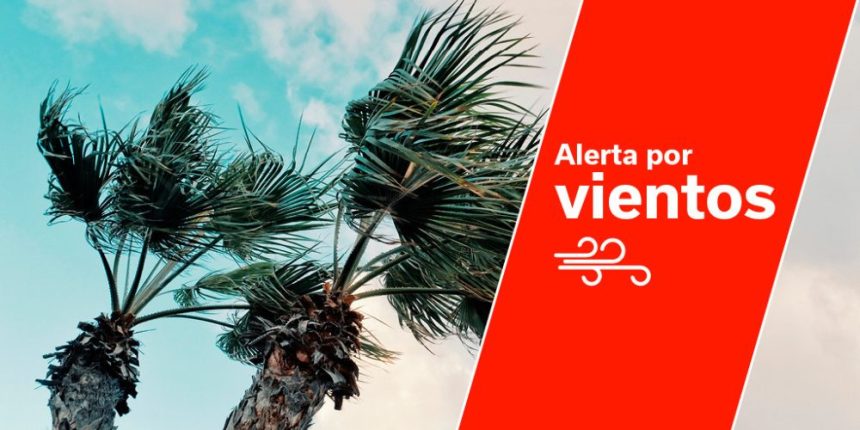 Alerta por fuertes vientos en Canarias a partir del miércoles 12 de noviembre