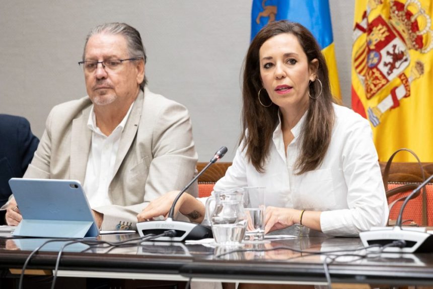 Presupuesto de Turismo y Empleo en Canarias crece un 7,48% para 2026
