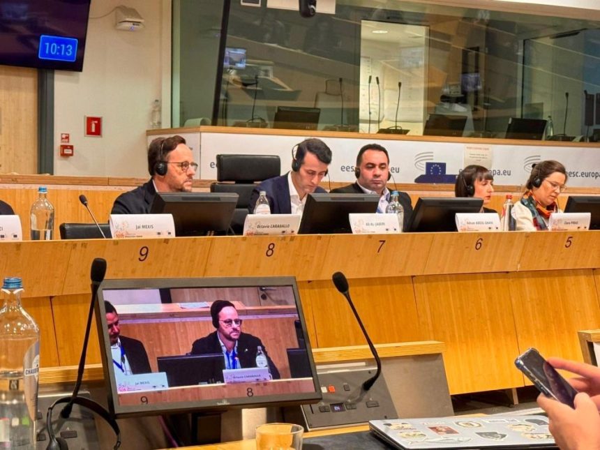 Integración y solidaridad, clave para migrantes en Canarias reclama el Gobierno ante la UE