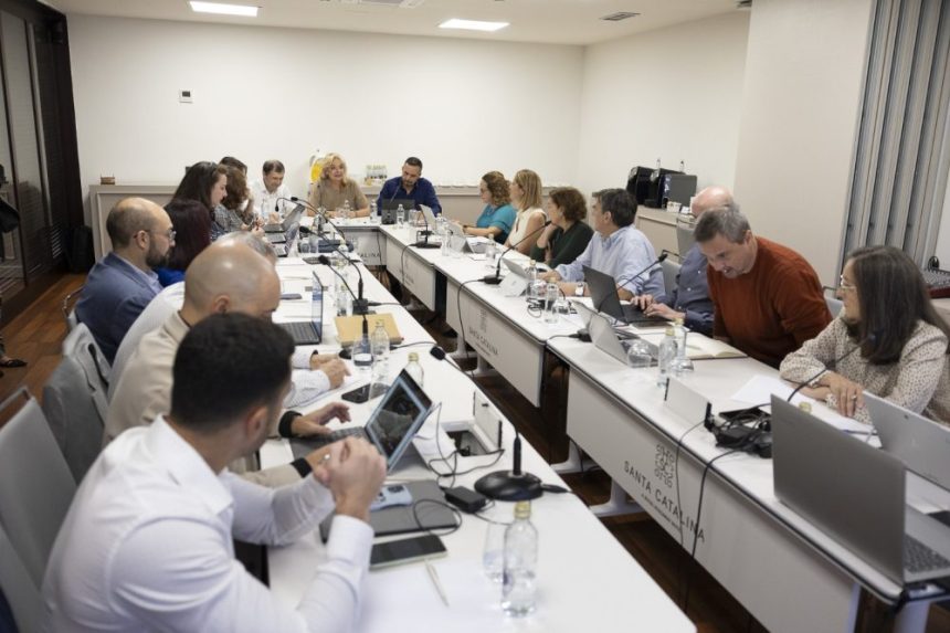 Reunión de la Comisión de Salud Digital en Las Palmas impulsa la transformación tecnológica sanitaria 1 Reunión de la Comisión de Salud Digital en Las Palmas impulsa la transformación tecnológica sanitaria