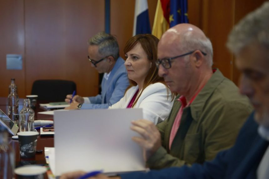 Memoria Democrática impulsa la búsqueda de fosas en Los Rodeos con tecnología georradar 1 Memoria Democrática impulsa la búsqueda de fosas en Los Rodeos con tecnología georradar